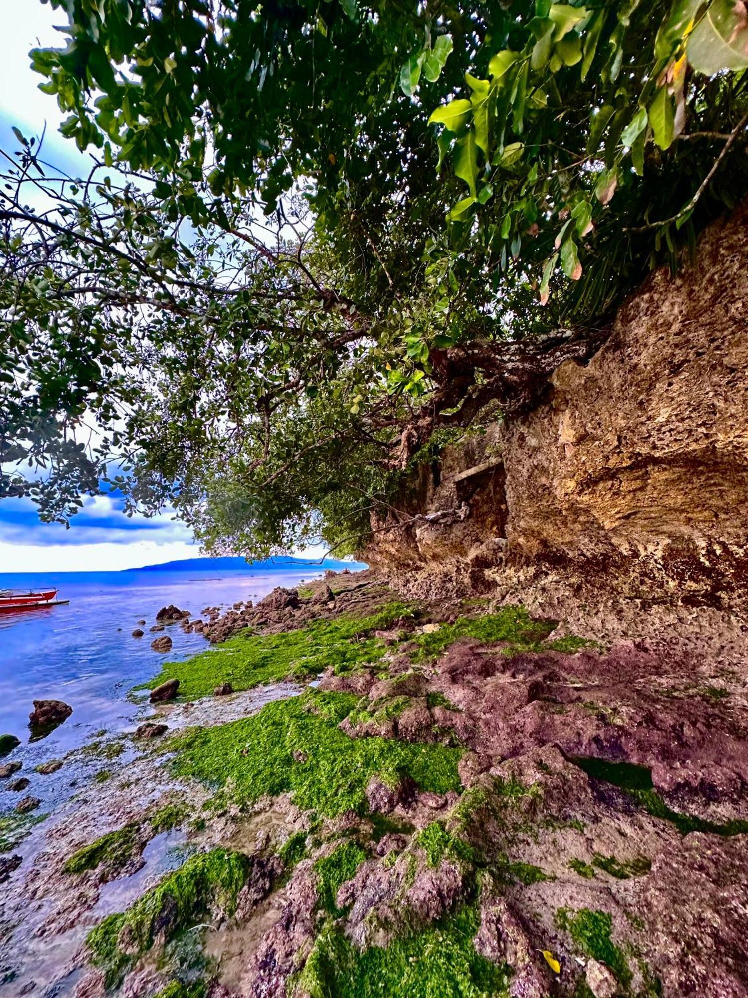 Sapphire Boutique Resort Panglao Eksteriør bilde